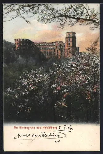 AK Heidelberg / Neckar, Schlossruine