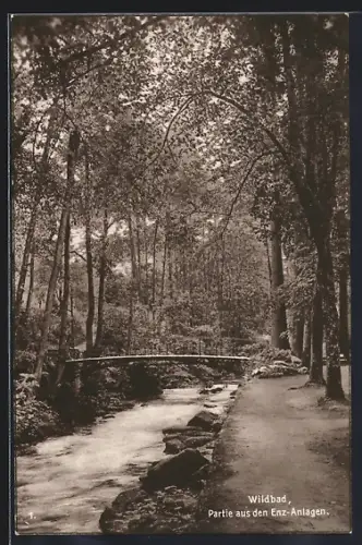 AK Wildbad / Schwarzwald, Partie aus den Enz-Anlagen