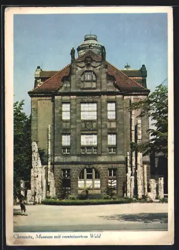 AK Chemnitz, Museum mit versteinertem Wald