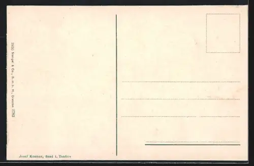 AK Sand i. Taufers, Ortspartie mit Gasthof Elefant, Gasthof Post und Post Villa