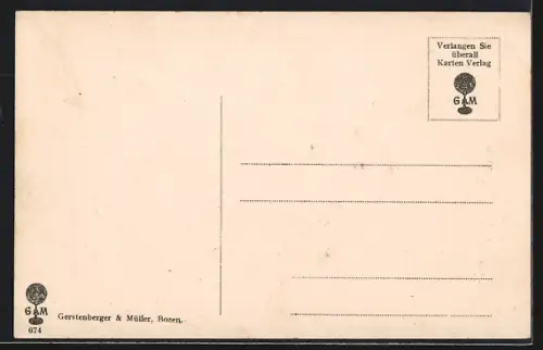 AK Schluderbach /Dolomiten, Ortsansicht mit Flagge