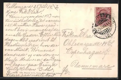 AK Pallanza /Lago Maggiore, Panorama dai giardini pubblici