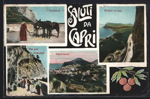 AK Capri, Via per Anacapri, Strada Krupp, Panorama