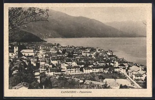 AK Cannobio, Panorama
