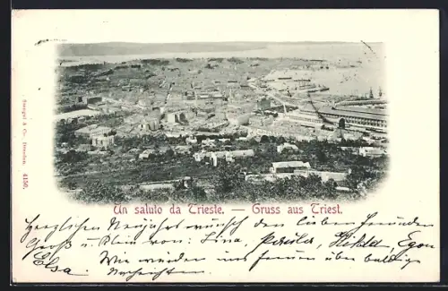 AK Triest, Panorama