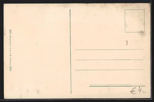 AK Toblach /Toblacher See, Panorama