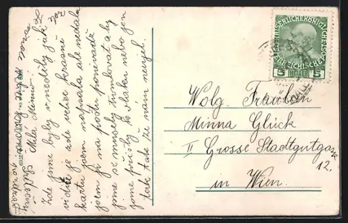 AK Toblach /Toblacher See, Panorama