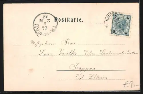 AK Plätzwiesen, Ortspartie mit Rothwand