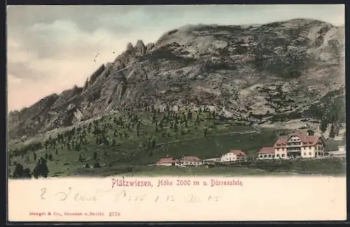 AK Plätzwiesen, Ortsansicht mit Blick auf Dürrenstein