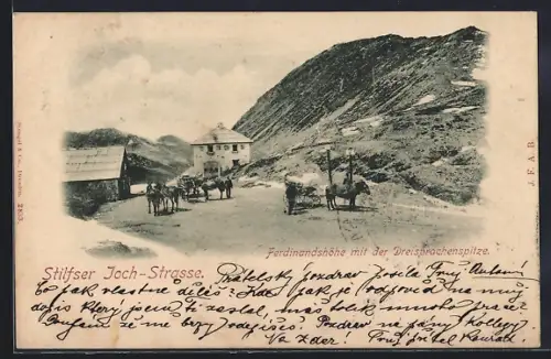 AK Ferdinandshöhe /Stilfser Joch-Strasse, Panorama mit der Dreisprachenspitze
