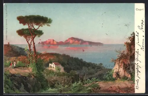 Lithographie Capri, Partie auf der Insel, Meeransicht