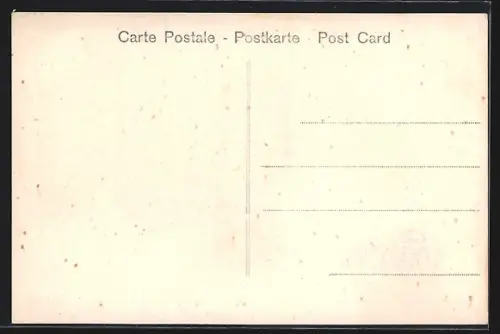 AK Assisi, Villa di S. Maria degli Angeli, vista da Assisi