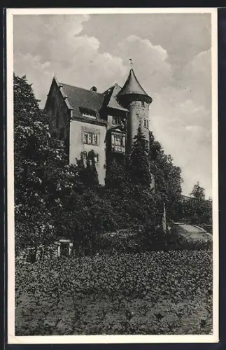 AK Rotenberg /Heidelberg, Rot-Kreuz-Jugenderholungsheim vom Feld aus