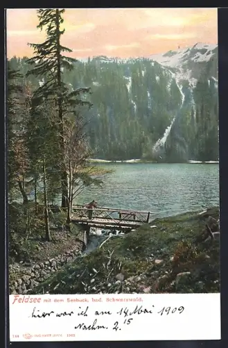 AK Feldsee /bad. Schwarzwald, Partie mit dem Seebuck