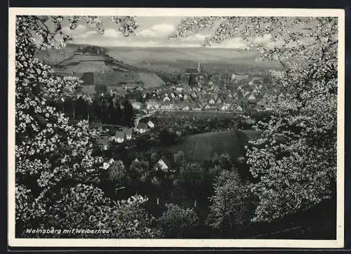 AK Weinsberg, Durchblick auf Ortsansicht mit Weibertreu