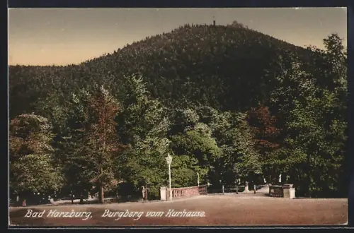 AK Bad Harzburg, Burgberg vom Kurhaus aus