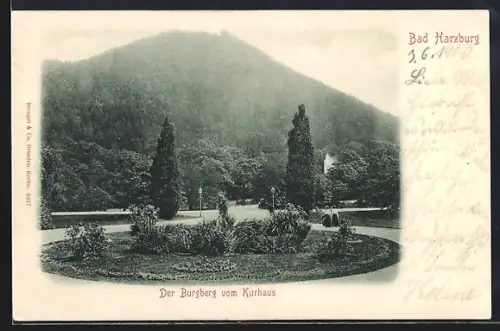 AK Bad Harzburg, Burgberg vom Kurhaus aus