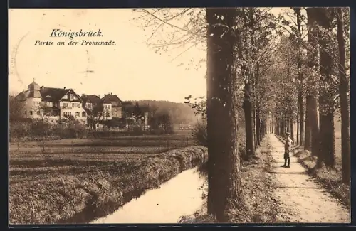 AK Königsbrück, Partie an der Promenade