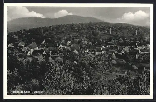 AK Tischardt /Nürtingen, Totalansicht