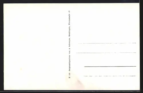 AK Tischardt /Nürtingen, Totalansicht