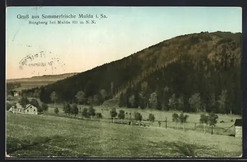 AK Mulda i. Sa., Gesamtansicht mit Burgberg