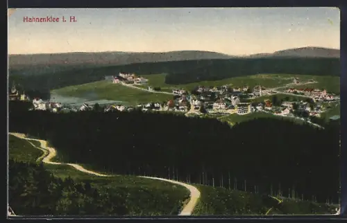 AK Hahnenklee i. H., Teilansicht mit Strassenpartie