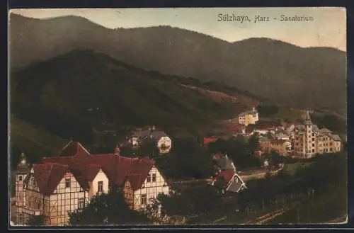 Lithographie Sülzhayn /Harz, Sanatorium