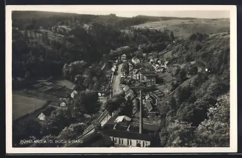 AK Rübeland a. d. Bode, Ortsansicht mit Fabrik und Talblick