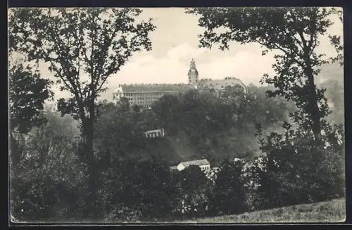 AK Rudolstadt, Blick auf das Schloss