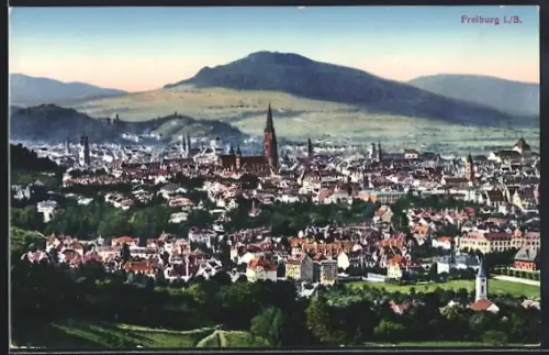 AK Freiburg i. B., Panorama, Münster, Stadtansicht