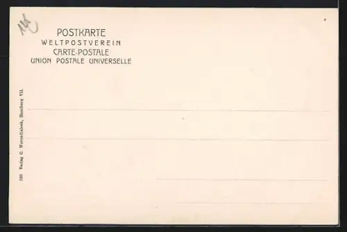 AK Hamburg-Uhlenhorst, Blick von Bellevue, Alster, Dampfer