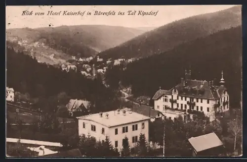 AK Bärenfels, Blick vom Hotel Kaiserhof ins Tal Kipsdorf