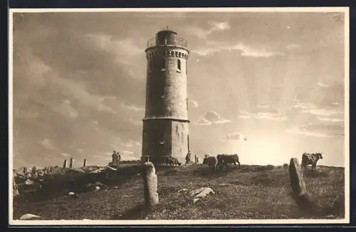 AK Brocken, Sonnenaufgang, Aussichtsturm, Vieh auf der Weide