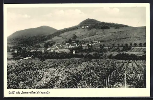 AK Leinsweiler /Weinstrasse, Weinberge, Dorfansicht, Hügel