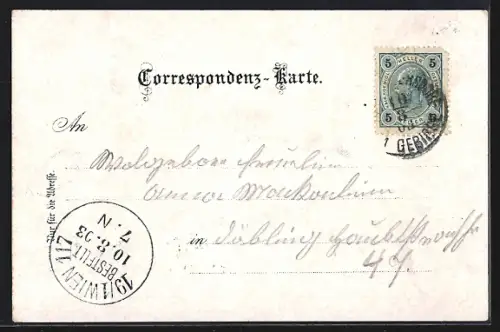 Lithographie Maria Enzersdorf, Ortsansicht, Schloss Liechtenstein, Kirche und Marienbildnis