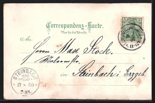 Lithographie Stein a. Donau, Neue Brücke, Ortsansicht