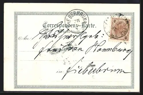 Lithographie Bischofshofen, Unterkunfthaus, Pongauerin, Ortsansicht