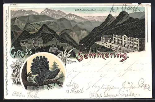 AK Semmering, Südbahn-Hotels auf den Semmering