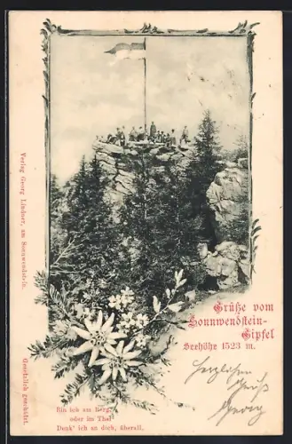 AK Semmering, Besucher auf dem Sonnwendsteingipfel