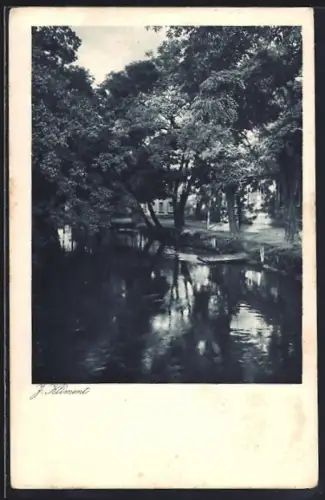 AK Schwechat, Fluss und Park im Schatten