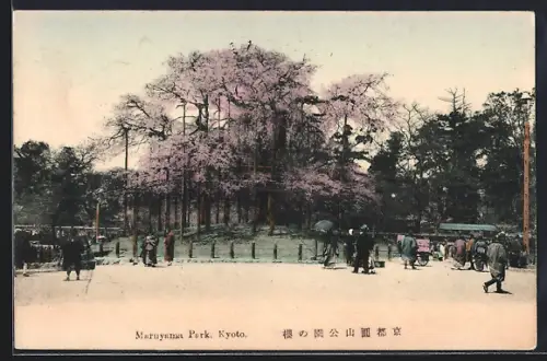 AK Kyoto, Maruyama Park