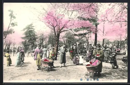 AK Yokohama, Cherry Blossom in Yokohama Park