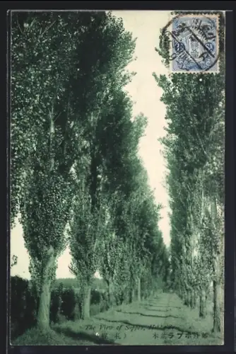 AK Hokaido, View of Sappro