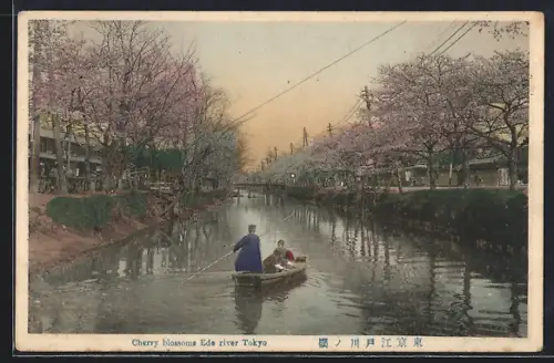 AK Tokyo, Cherry Blossoms Ede river