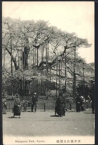 AK Kyoto, Maruyama Park