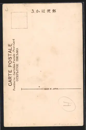 AK Nikko, Chuzenji Lake