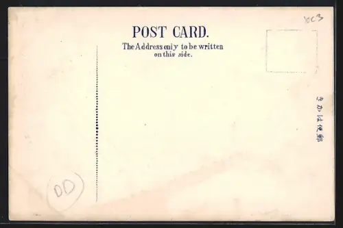 AK Osaka, The Dotonbori