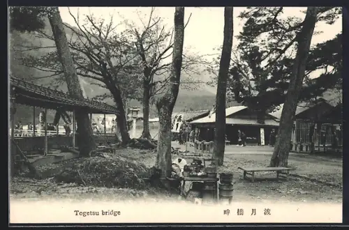 AK Arashiyama, Togetsu bridge