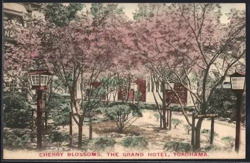 AK Yokohama, Cherry Blossoms, The Grand Hotel