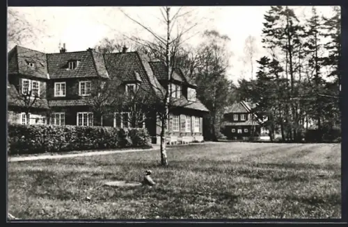 AK Lauenburg /E., Wiesenansicht und Sandkrughof